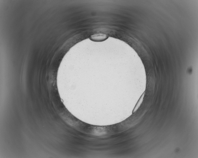 X0000116880091201002021157