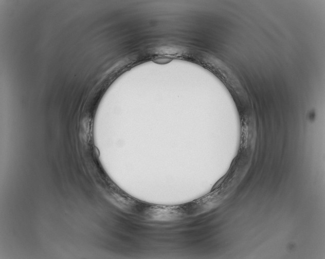 X0000116880093201002021157