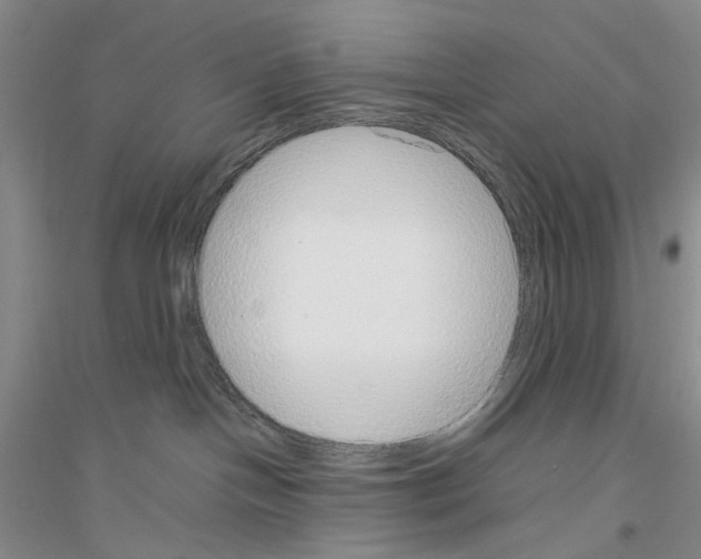 X0000116880094201002021157