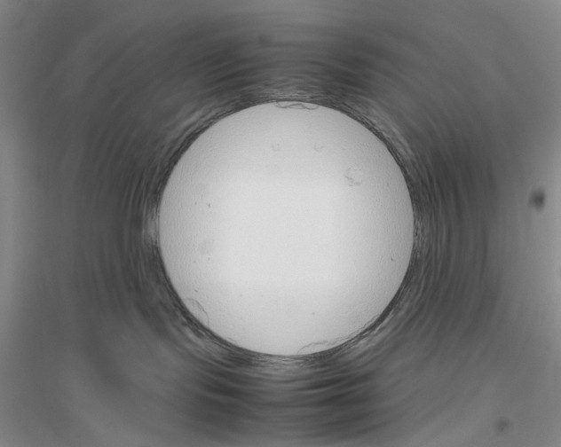 X0000116880095201002021157
