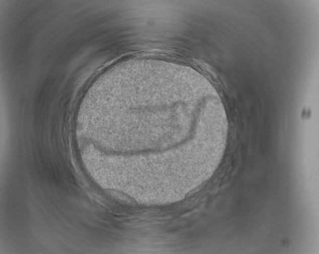 X0000116880097201002021156