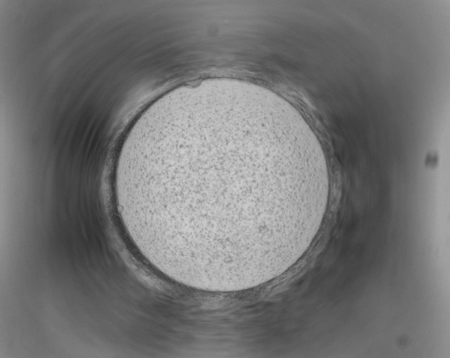 X0000116880098201002021156