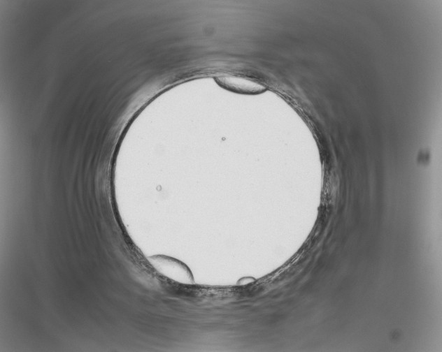X0000116880099201002021156