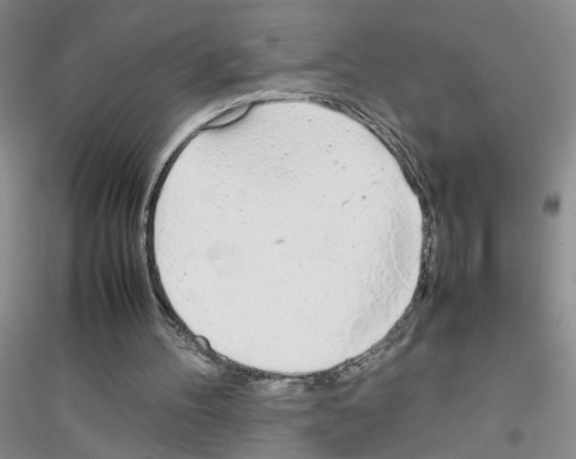 X0000116880100201002021156