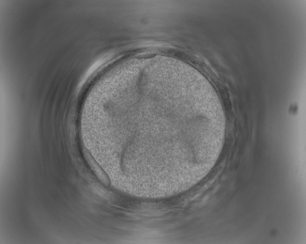 X0000116880101201002021156
