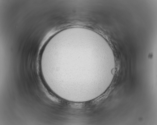 X0000116880102201002021156