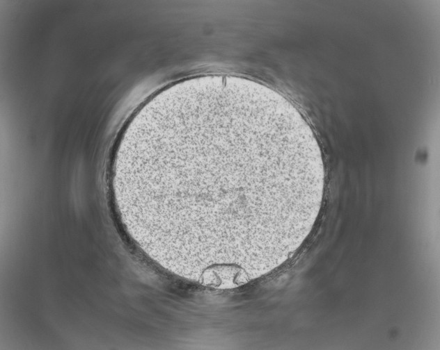 X0000116880103201002021156