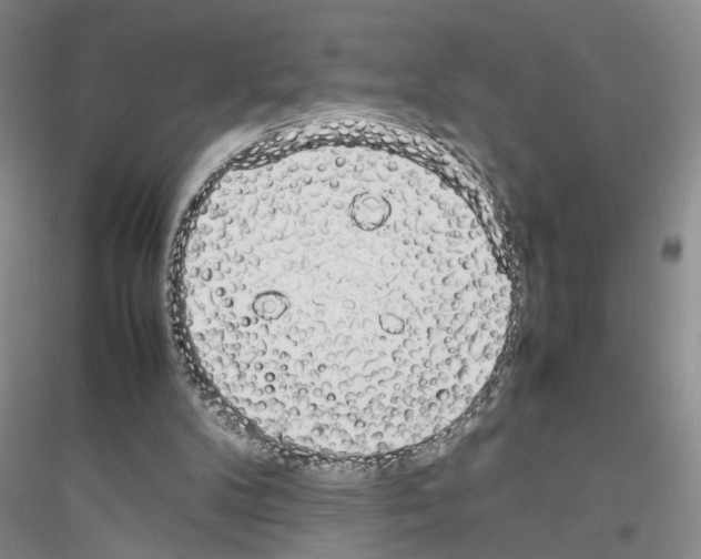 X0000116880104201002021156