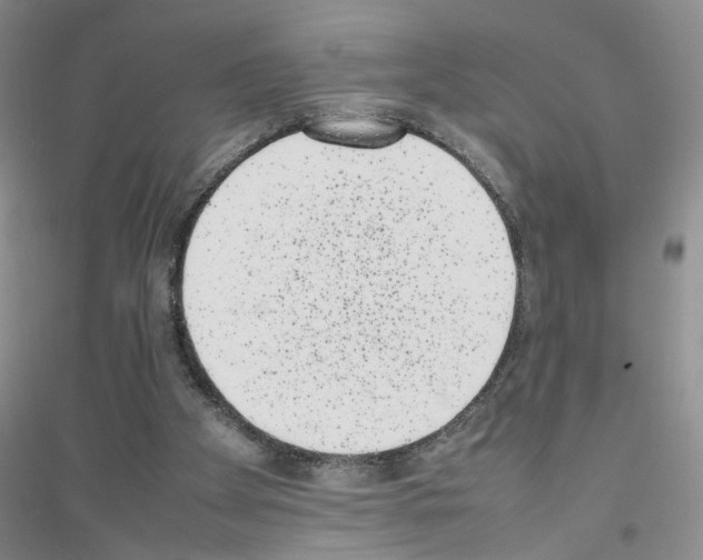 X0000116880105201002021156