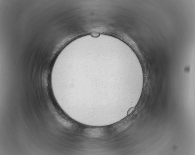 X0000116880106201002021156