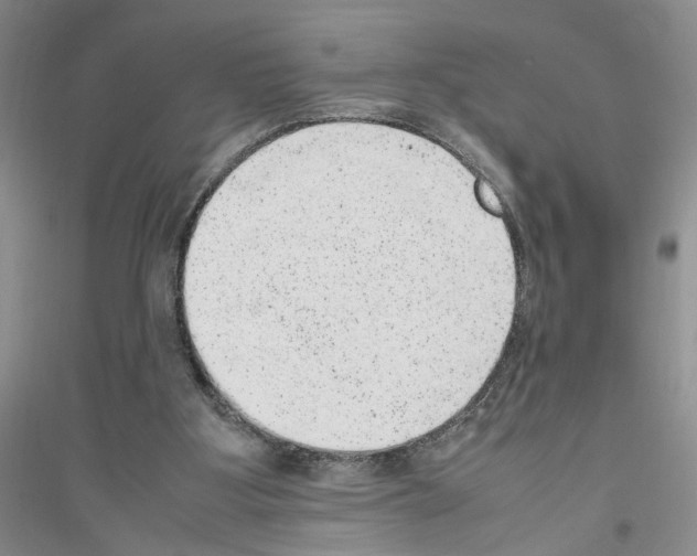 X0000116880107201002021156
