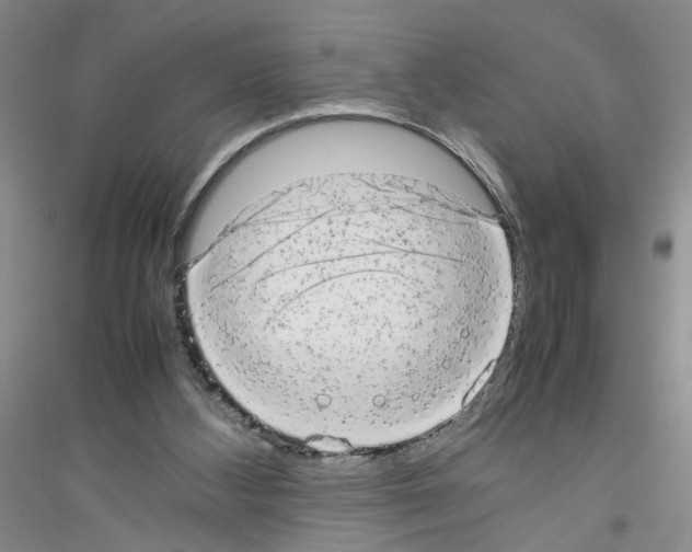 X0000116880108201002021156