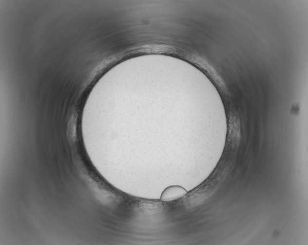 X0000116880110201002021156