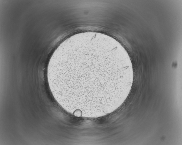 X0000116880111201002021156
