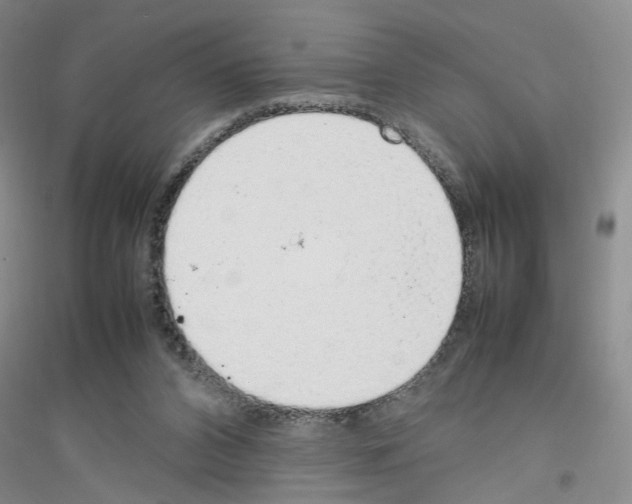 X0000116880112201002021156