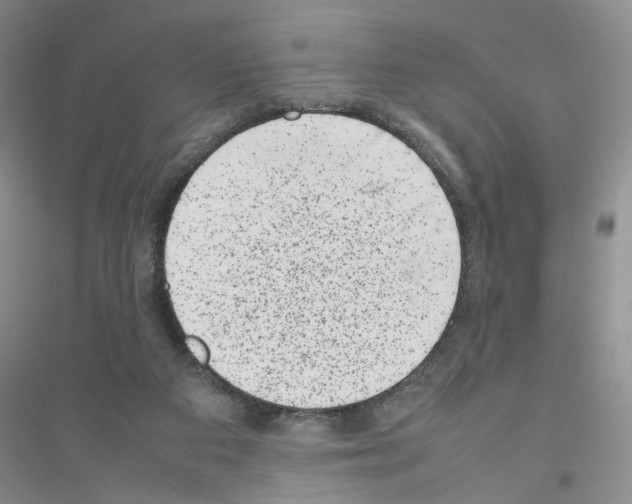 X0000116880113201002021156