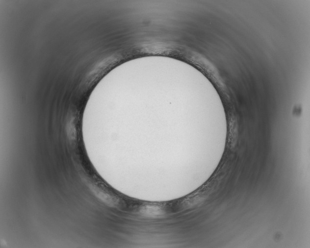 X0000116880114201002021156