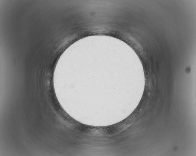 X0000116880115201002021156
