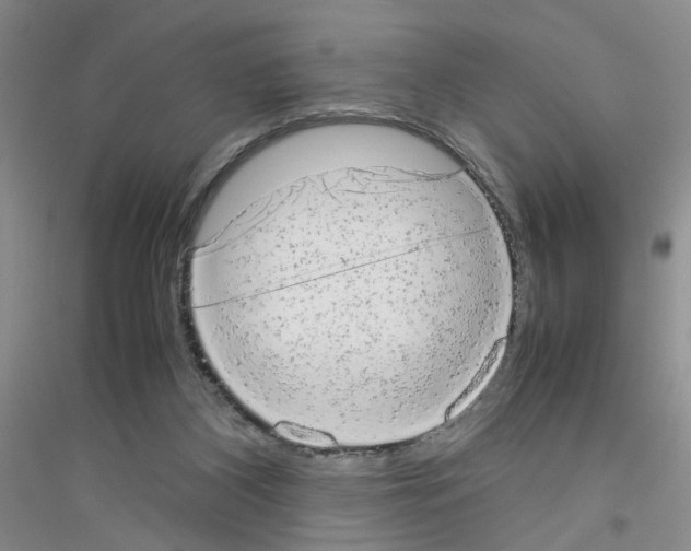 X0000116880116201002021156