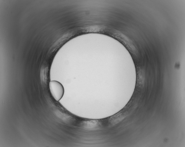 X0000116880118201002021156