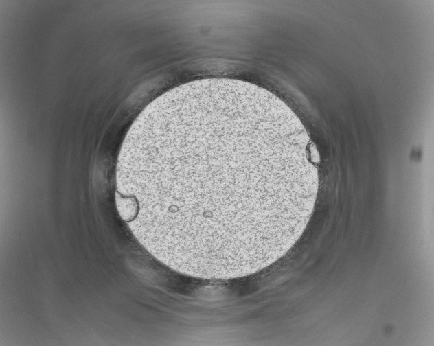 X0000116880119201002021156