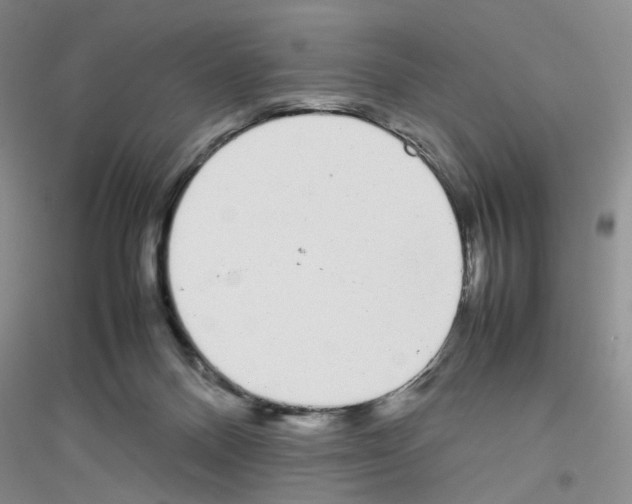 X0000116880120201002021156
