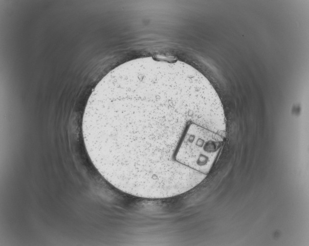 X0000116880121201002021156