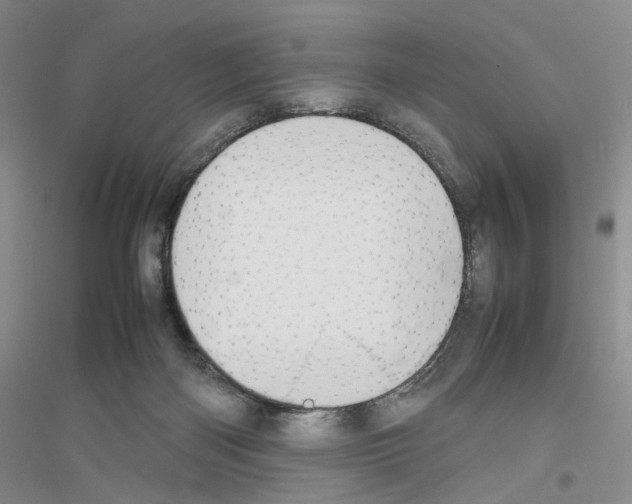 X0000116880122201002021156