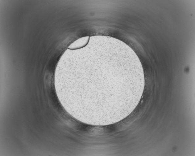X0000116880123201002021156