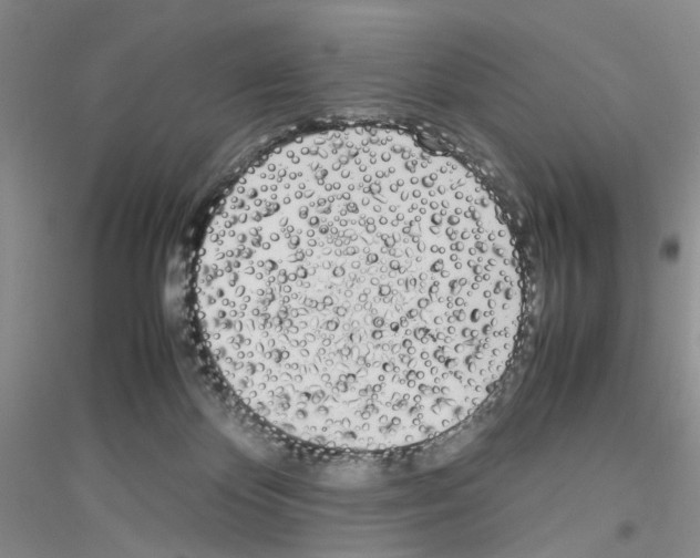 X0000116880124201002021156