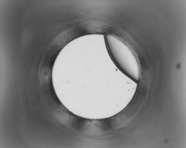 X0000116880125201002021156