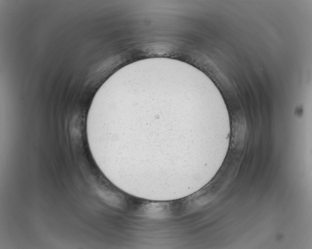 X0000116880126201002021156