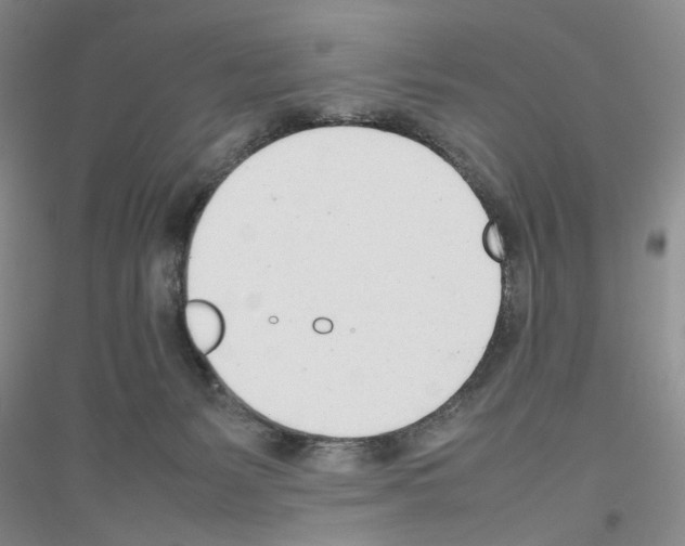 X0000116880127201002021156