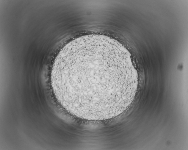 X0000116880128201002021156