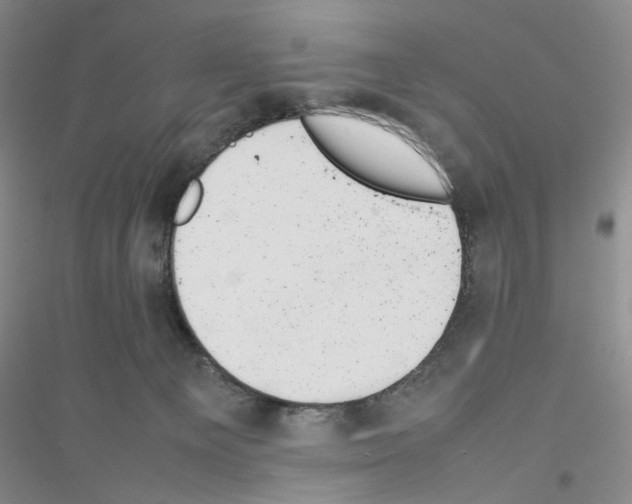 X0000116880129201002021156