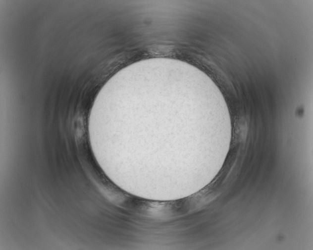X0000116880130201002021156