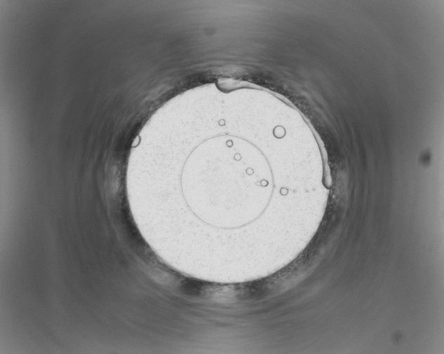 X0000116880131201002021156
