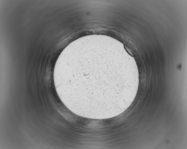 X0000116880132201002021156