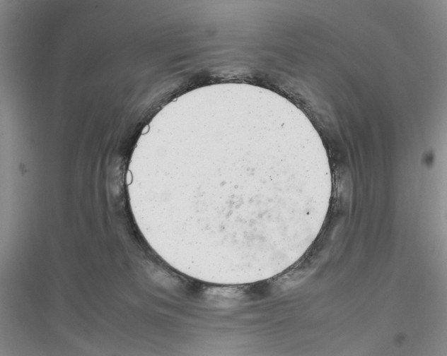 X0000116880133201002021156