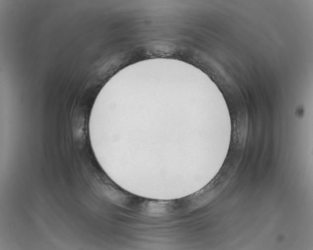 X0000116880134201002021156
