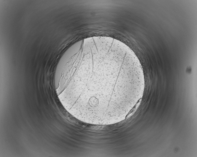 X0000116880136201002021156