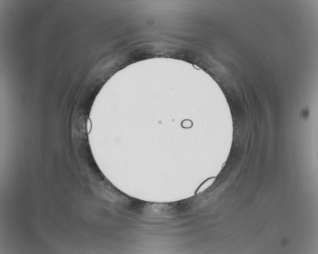X0000116880137201002021156