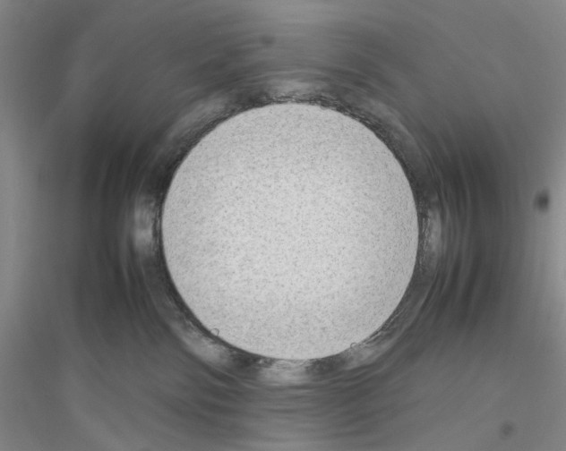 X0000116880138201002021156