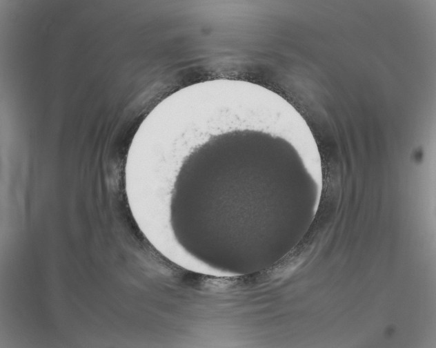 X0000116880139201002021156