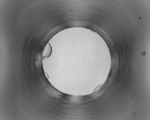 X0000116880142201002021156
