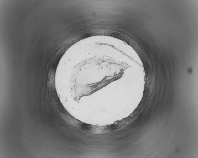 X0000116880143201002021156