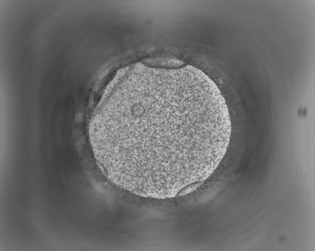 X0000116880144201002021156