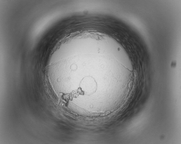 X0000116880146201002021155