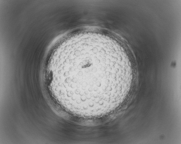 X0000116880149201002021155