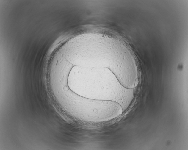 X0000116880150201002021155